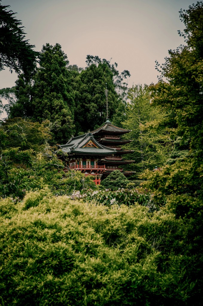 Pagoda tradicional japonesa de madera roja escondida entre un frondoso bosque verde durante un viaje a medida por Asia.